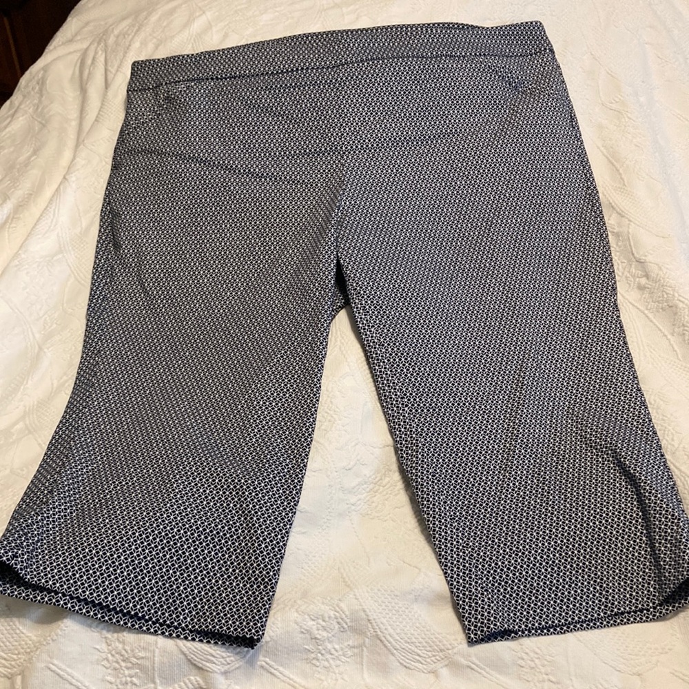 Kim rogers dressy capris pull on
